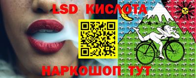 MDMA Гатчина