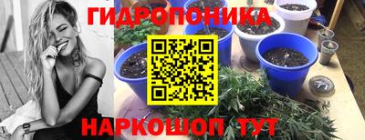 круглые Гусев
