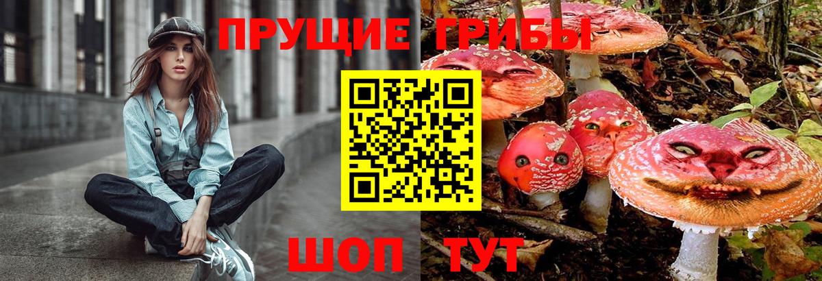 Псилоцибиновые грибы мицелий  Вход с VPN  Павлово 