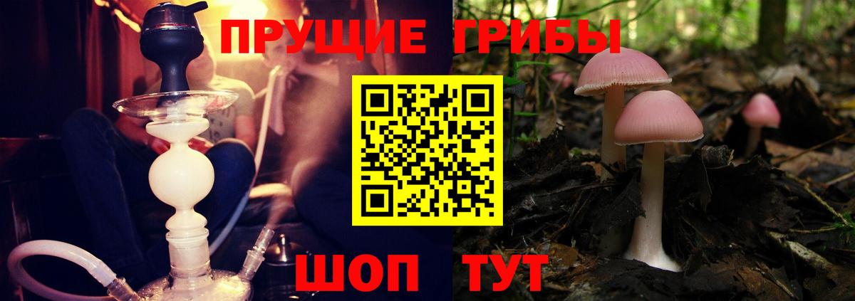 Галлюциногенные грибы мухоморы Павлово